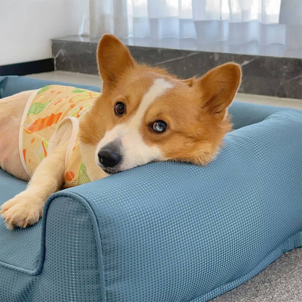 Cama de sofá de perros con refuerzos para perros extraíbles de Oxford.