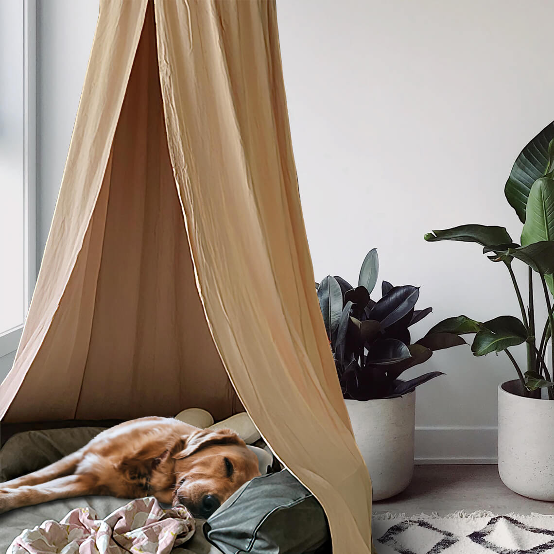 Stylish Soft Cozy Dog Tent Dog Teepee