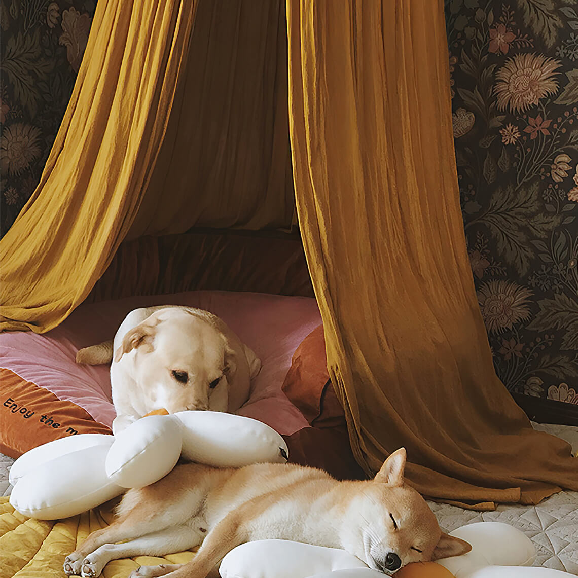 Stylish Soft Cozy Dog Tent Dog Teepee
