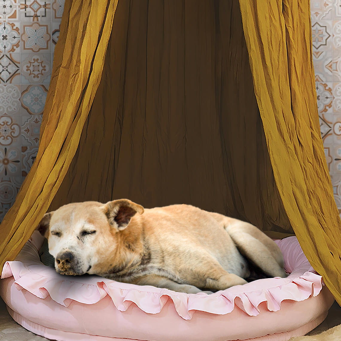Stylish Soft Cozy Dog Tent Dog Teepee