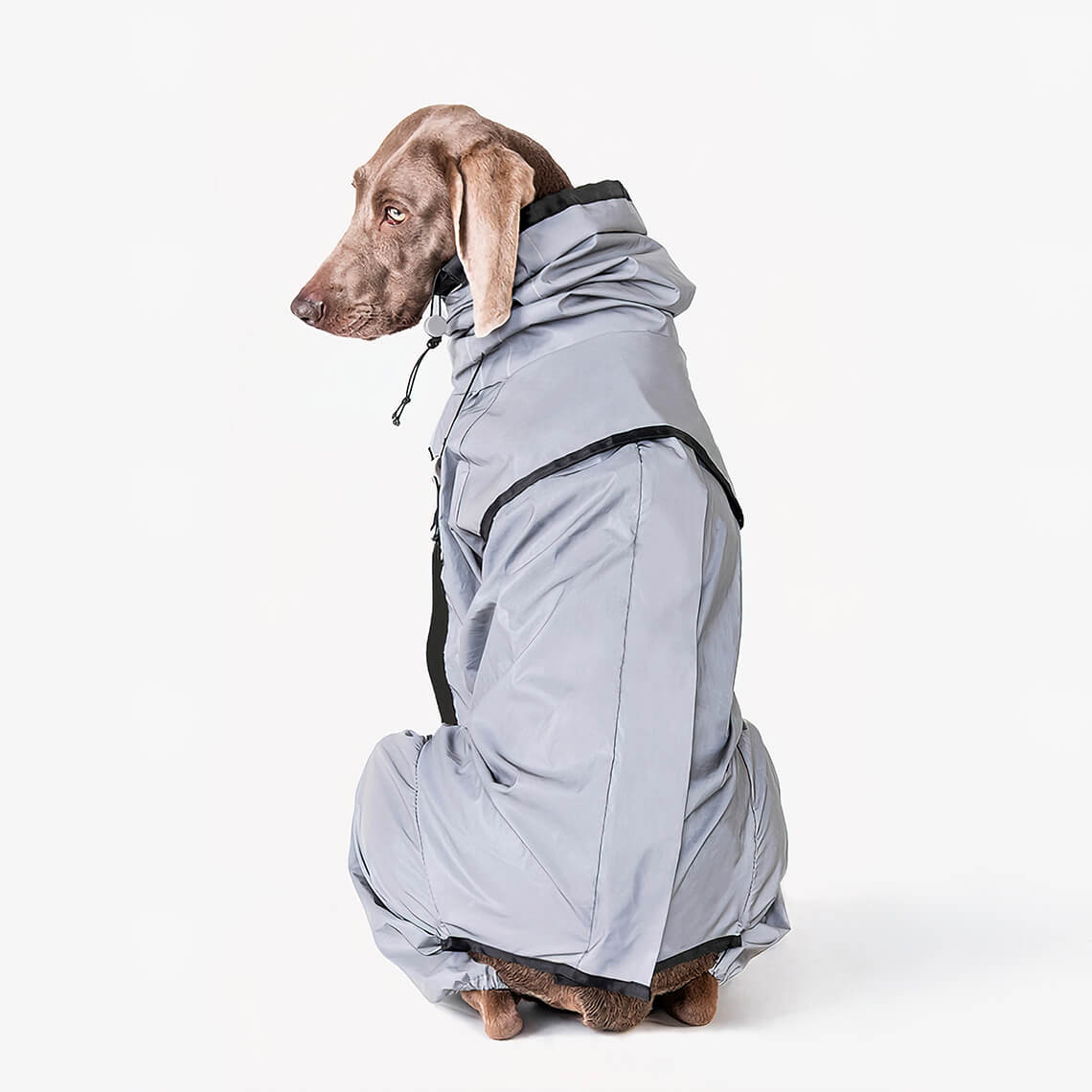 Accesorios reflectantes para perros fríos impermeables para perros