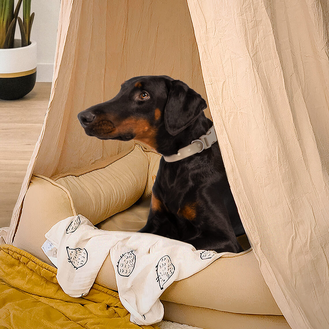 Stylish Soft Cozy Dog Tent Dog Teepee