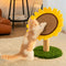 Tablero de rasguños de gato de sisal de girasol con base de hierba estable