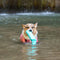 Outdoor Interactive Toys Resistant to Pull Dog Floating Toys