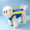 Vêtements de Protection solaire pour animaux de compagnie, Sports de plein air, accessoires pour chiens Cool, gilet rafraîchissant