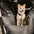 Full Leather Dog Pet Car Seat Bed - Fort