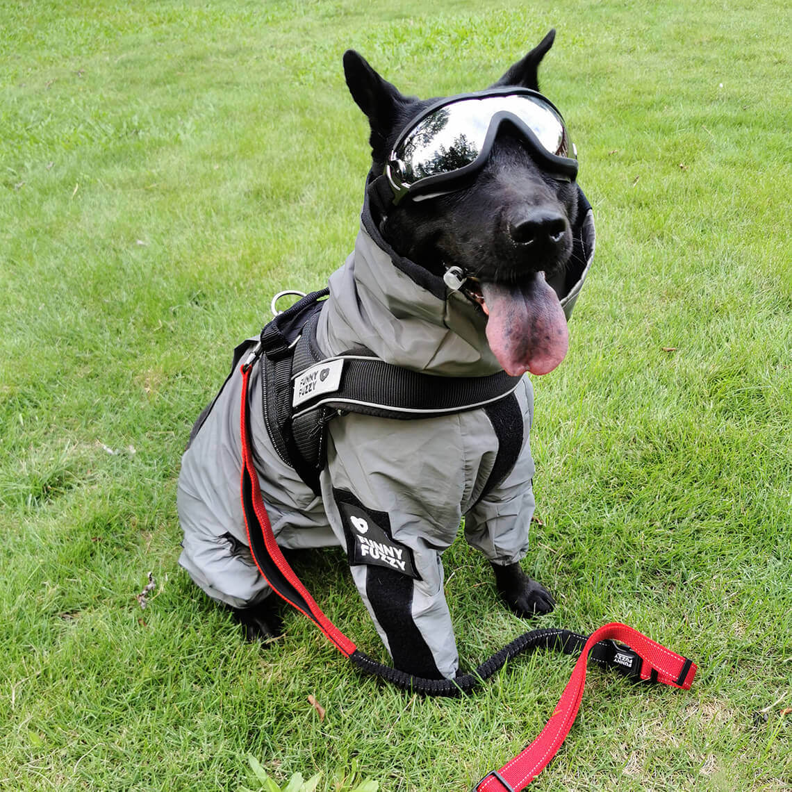 Accesorios reflectantes para perros fríos impermeables para perros