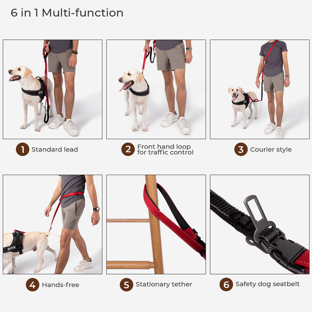Accesorios reflectantes para perros fríos impermeables para perros